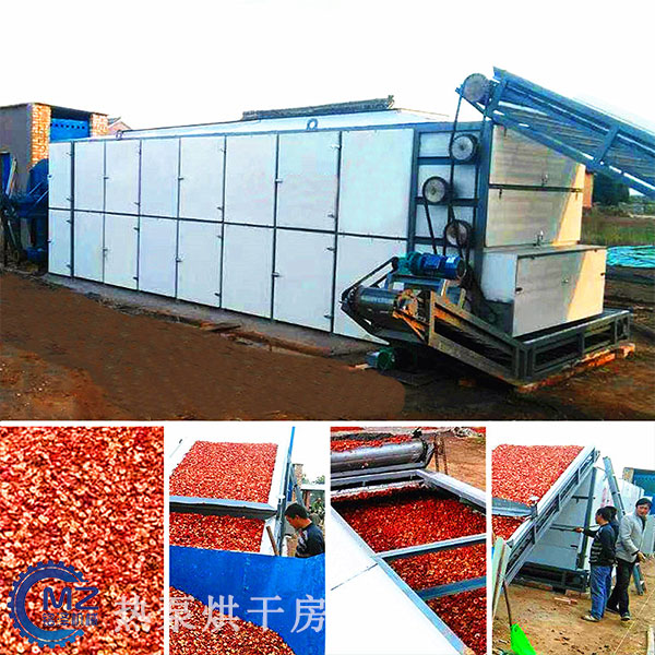 大棗網(wǎng)帶烘干機